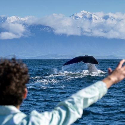 新西兰南岛8日7晚跟团游