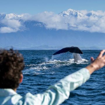 新西兰南岛8日7晚跟团游