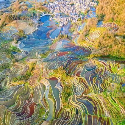 云南昆明+抚仙湖+建水+普者黑风景区+弥勒6日拼小团