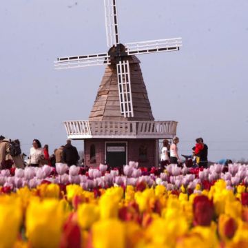 德国+荷兰9日7晚私家团