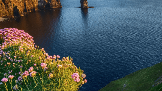 英国+都柏林郡+曼彻斯特+巨人之路+莫赫悬崖5日4晚·自营发团+2人铁发+赠市内上门接送+英爱双境环线+世界双遗产+狂野大西洋+4星酒店