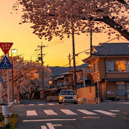 日本东京+箱根6日5晚私家团