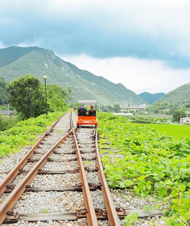 5D4N • South Korea + Seoul + Everland + Nami Island:  Korean family trip: Nami Island, Gangchon rail bike, Everland theme park, hanbok at Gyeongbokgung Palace
