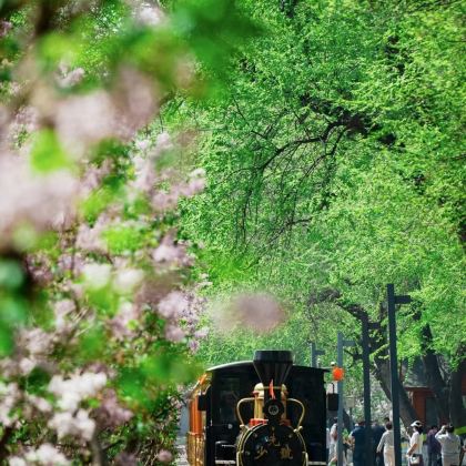 哈尔滨+长白山+延吉+镜泊湖7日6晚拼小团