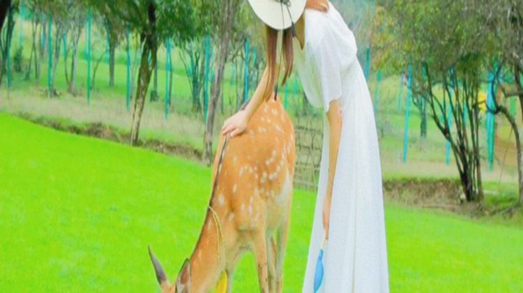 神农架、宜昌+9