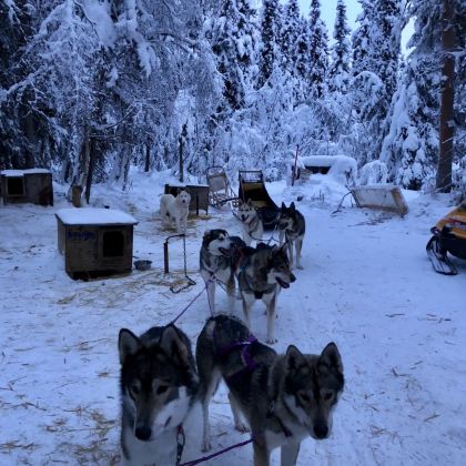 加拿大温哥华+班夫+贾斯珀+幽鹤国家公园+卡尔加里卡尔加里塔+加拿大落基山脉9日8晚拼小团