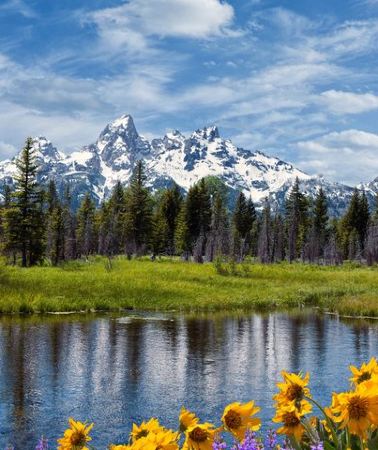 2D1N • From Bozeman Classic Yellowstone and Teton Tour 2 Day and 1 Night