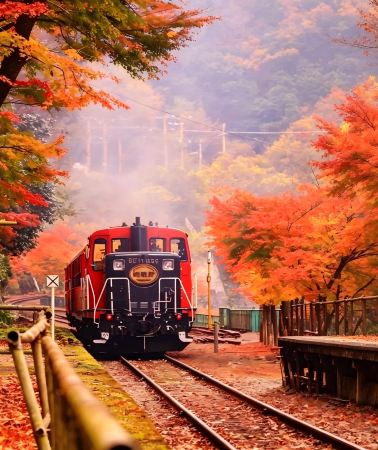 8D7N • Japan Autumn Foliage Journey: Kyoto Maple Scenery + Mount Fuji Route + Hakone Ropeway + Tokyo Ginkgo Avenue