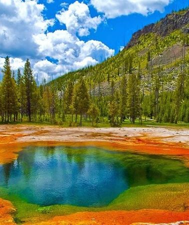 2D1N • 2-Day Private Yellowstone Tour(Lower and Upper Loops w Iconic Sites) w Lunch