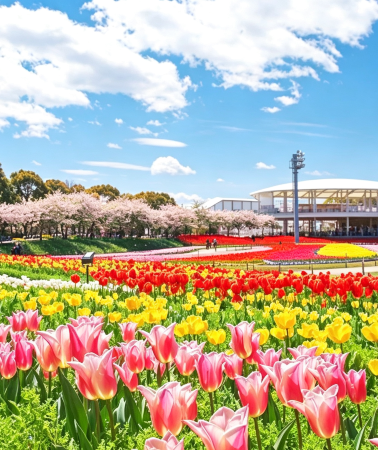 6D5N • Japan Honshu journey with Osaka, Kyoto, Mie and Tokyo highlights, Shinkansen experience, Onsen Ryokan stay and Mount Fuji scenery