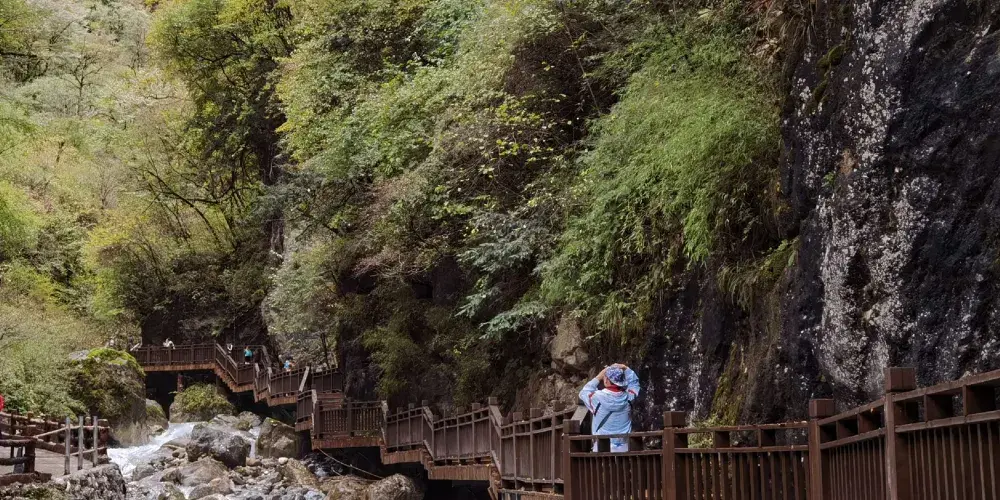 永安旅遊