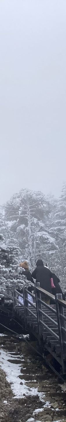 轿子雪山-禄劝