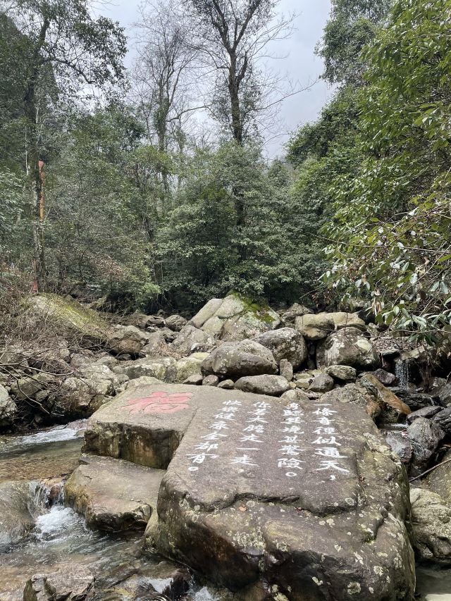 屏山悬索玻璃桥旅行图片 3