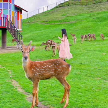 神农架5日4晚跟团游