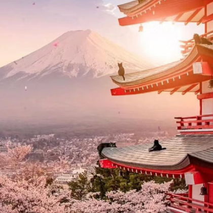 日本东京+富士山+奈良+京都+神户+大阪6日拼小团