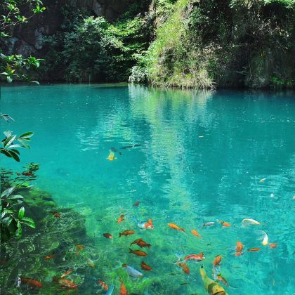 OMG心跳乐园3日2晚私家团