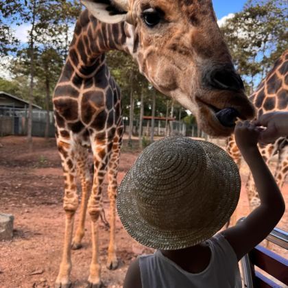泰国清迈6日5晚跟团游