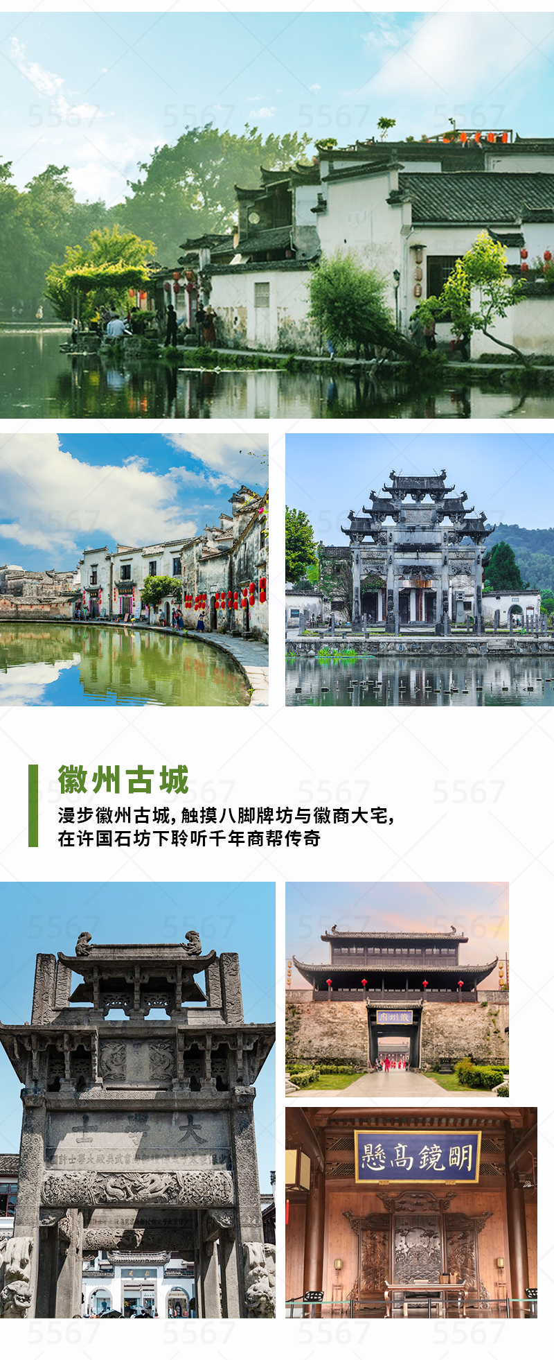 38079338-3 黃山市