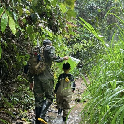 西双版纳+基诺山雨林徒步+野象谷5日4晚跟团游
