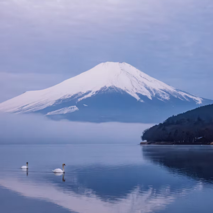 日本东京+富士山6日5晚私家团
