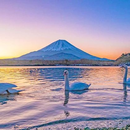 日本东京+富士山5日4晚自由行