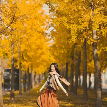 云南昆明+芒市+瑞丽+腾冲6日5晚跟团游