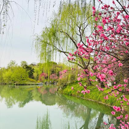 扬州+镇江3日2晚私家团