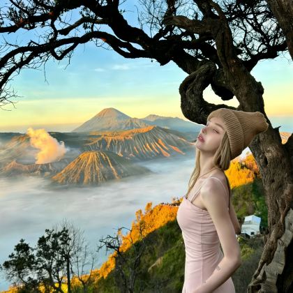 布罗莫火山+伊真火山+赛武千层瀑布+巴厘岛罗威纳海滩+佩妮达岛7日6晚跟团游