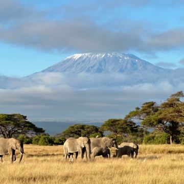 肯尼亚+乌干达+南非10日9晚私家团
