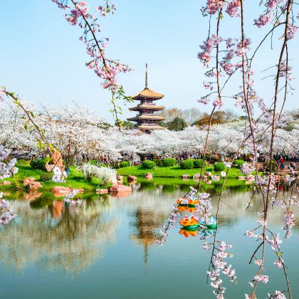 武汉黄鹤楼5日4晚跟团游