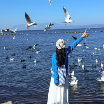 云南昆明+大理市+丽江+西双版纳8日7晚自由行