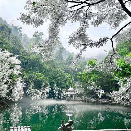 广西柳州龙潭公园+柳州博物馆+窑埠古镇+鹿寨香桥岩溶国家地质公园+鹿鸣谷+双龙沟+梦呜苗寨+中渡镇响水瀑布+程阳八寨+三江鼓楼+柳侯公园+马鞍山公园5日4晚拼小团