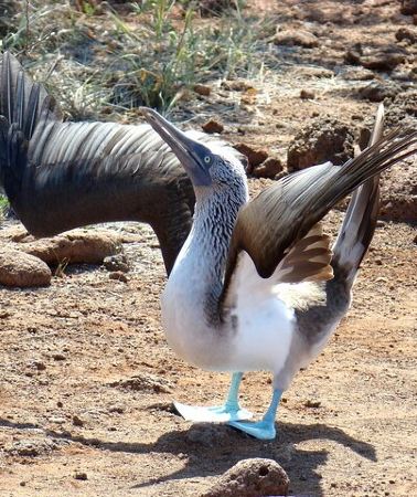 5D4N • Galapagos Enchanting 3 Islands (5 Days)