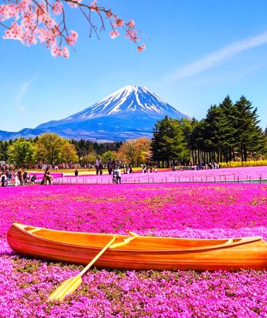 2D1N • Mount Fuji & Owakudani, Hakone & Kamakura 2-Day Tour (Small Group of up to 9 People, Accommodation Not Included) Includes Hotel Pick-up and Drop-off