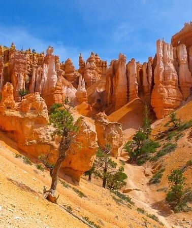 8D7N • Los Angeles Las Vegas National Parks 8-Day Tour