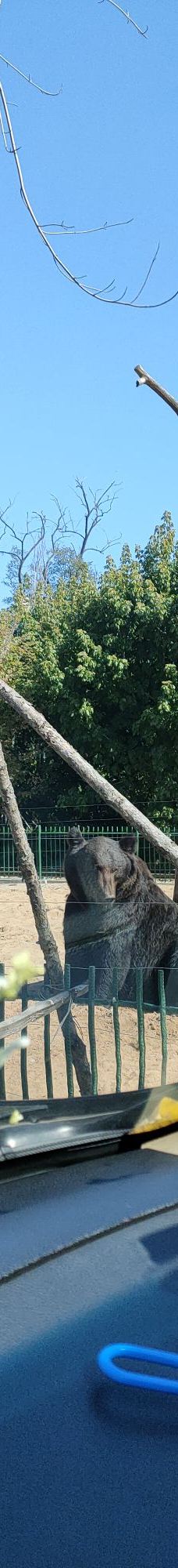 秦皇岛野生动物园-秦皇岛