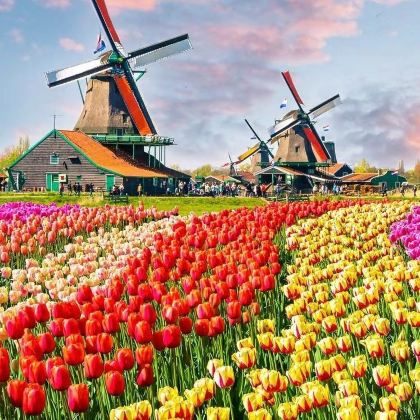 荷兰+比利时10日跟团游