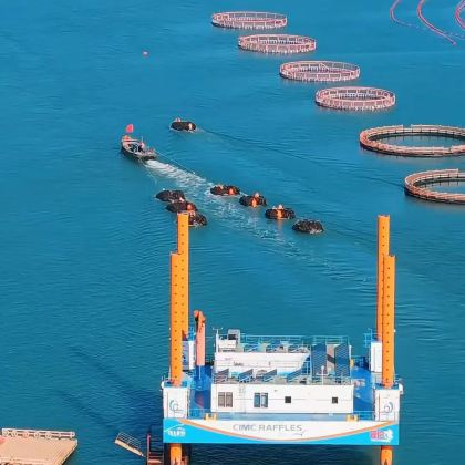 济南+泰山风景区+曲阜+青岛+威海+烟台+大连9日8晚拼小团