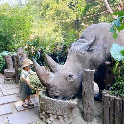 普洱+澜沧景迈千年万亩古茶园+翁基布朗族老寨3日2晚拼小团