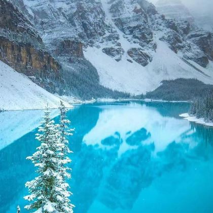 加拿大温哥华+贾斯珀国家公园+班夫国家公园11日10晚私家团