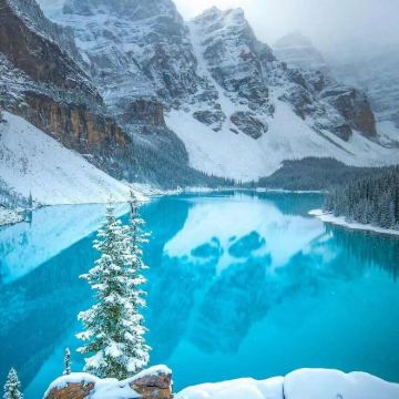 加拿大温哥华+贾斯珀国家公园+班夫国家公园11日10晚私家团