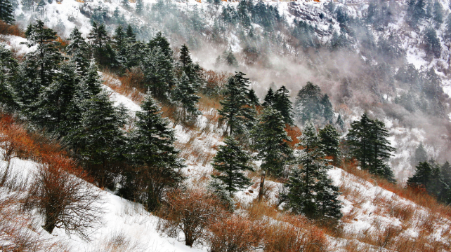 神农架、宜昌+7