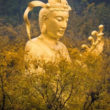 河南云台山风景名胜区+月山寺3日2晚私家团