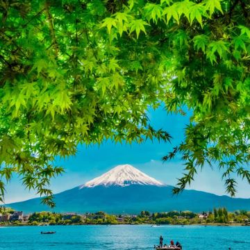 日本东京+富士山4日3晚自由行