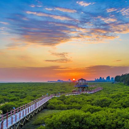 广西南宁+德天瀑布+北海+涠洲岛6日5晚跟团游