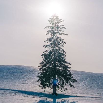 日本北海道7日6晚自由行