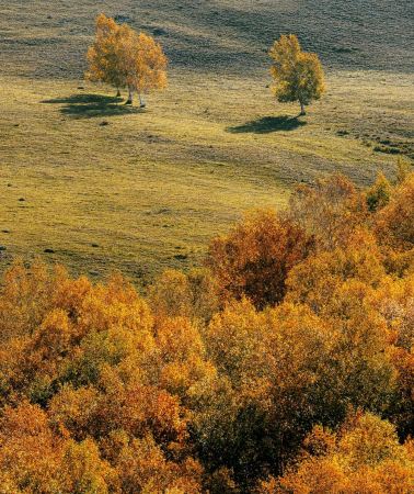 13D12N • Hulunbuir-Grasslands-Arctic-Village-Harbin-Manzhouli