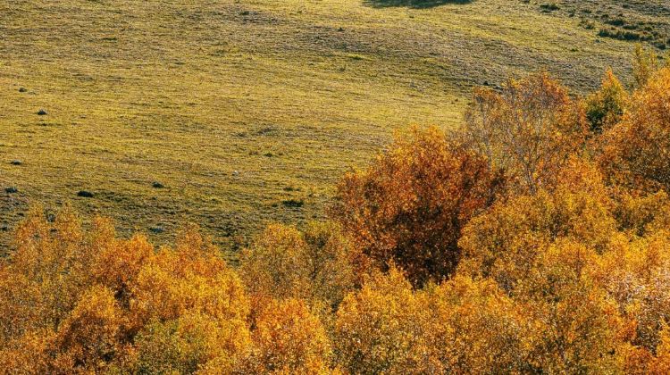 9-Day Beijing + Chifeng + Yulong Sand Lake + Ulan Butong Guoju Campground