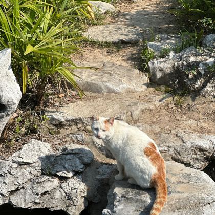 镇江+扬州+南京7日6晚私家团