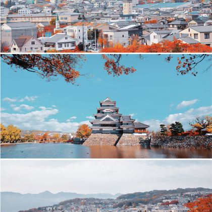 日本东京+富士山+松本城+川越一番街+地狱谷野猿公苑6日5晚跟团游